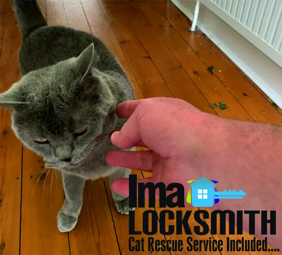The friendly cat greeting Richard after gaining entry to a home in SO30